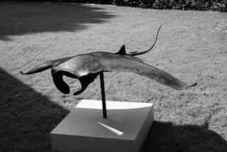 Raie Manta, sculpture en cuivre, Aurélien Raynaud, peintre sculpteur animalier