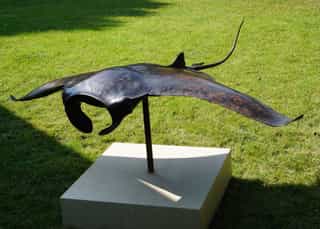 Raie Manta, sculpture en cuivre, @aurelienraynaud