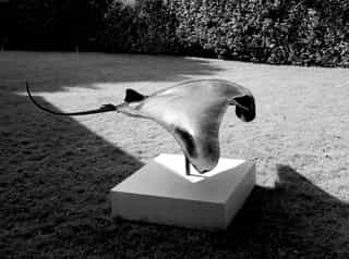 Raie Manta, sculpture en cuivre, Aurélien Raynaud