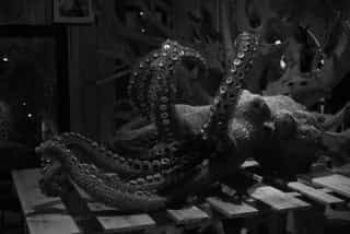 Buste en grillage, Orang Outan, sculpture, Aurélien Raynaud, peintre sculpteur animalier