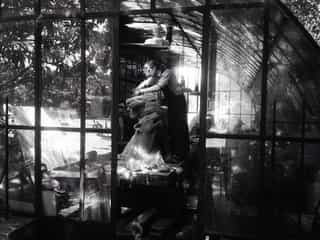 Atelier d'Aurélien Raynaud, peintre sculpteur animalier