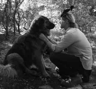 Aurélien Raynaud, peintre sculpteur animalier